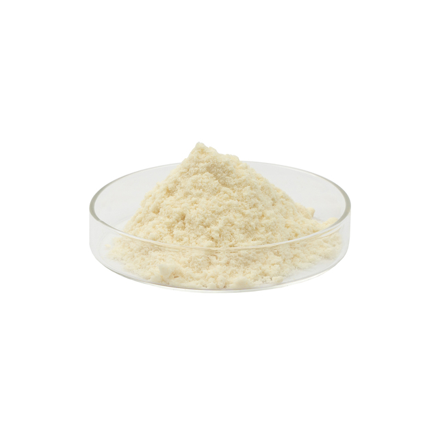 China Factory Supply Marine Peptide Powder