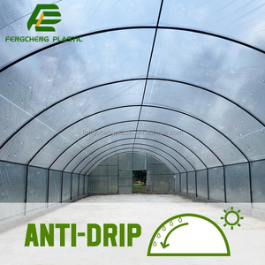 Film tissé en HDPE 150 g/m², durable, résistant aux UV, pour serres - Product Image 4