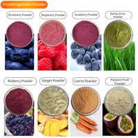 Poudre d'extrait de fruit de fraise biologique soluble, qualité alimentaire, 80 mesh, emballage en fût