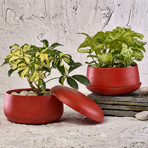Pots de pépinière en métal rouge mat avec plateau de drainage et couvercle pour plantes, jardinage intérieur et extérieur - Product Image 1