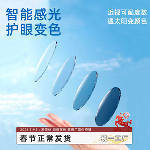 Lentes Fotocromáticas Mirror One Factory 1.74 de Resina con Protección Anti Luz Azul para Miopía, Cambio de Color Gris - Product Image 1