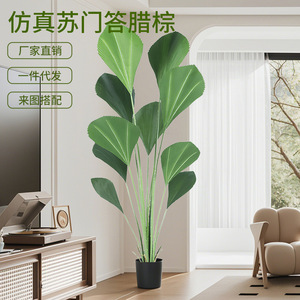 Plante artificielle verte Sumatra Dream Castle, 100cm-200cm, en pot, décoration intérieure pour salon, hôtel, centre commercial - Product Image 1