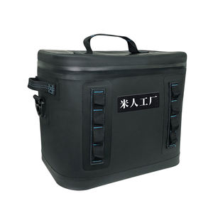 Diseño personalizado de alta calidad 20L helado de playa medicina bolso más fresco - Product Image 1