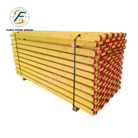 Faisceau en bois H20 Doka