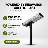 Lampe solaire LED tout-en-un en silicium monocristallin 80W, IP66, en alliage d'aluminium, télécommande, sans assemblage