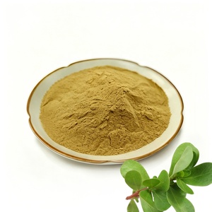 Natural <strong>Bacopa</strong> <strong>Monnieri</strong> Leaf <strong>Extract</strong> High Quality Water Soluble <strong>Bacopa</strong> <strong>Monnieri</strong> <strong>Extract</strong> Powder For Supplements - Product Image 1