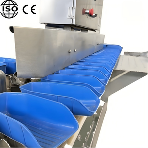 ระบบคัดแยกน้ำหนักอัตโนมัติความแม่นยำสูงสำหรับกระบวนการแปรรูปสัตว์ปีก สายการผลิตที่เรียบง่ายขึ้น พร้อมอุปกรณ์คัดแยกที่มีประสิทธิภาพ - Product Image 5