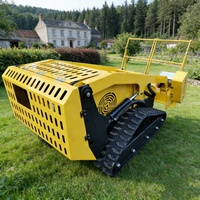 Tondeuse à gazon sur chenilles télécommandée, portable, tout-terrain, 4 temps, à essence, 190cc, 9kW, pour jardins domestiques