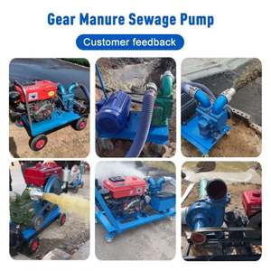 Bomba de Succión de Estiércol Agrícola Pequeña de Alta Potencia con Engranajes, de Fuerte Succión y Sin Obstrucciones, para Granjas de Cría - Product Image 4