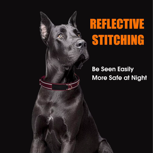 <span class=keywords><strong>Collar</strong></span> para Perro NiBao de Neopreno Acolchado, Ajustable, Reflectante, de Nailon, Multicolor, para Perros Pequeños, Medianos y Grandes - Product Image 2