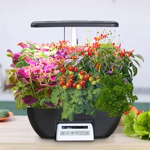 Home Timing piccolo sistema idroponico Set idroponico a 17 fori coltivazione fuori suolo piantagione di fiori commestibili vegetali biologici