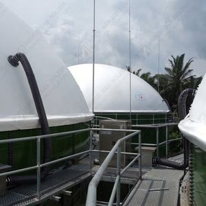 Biogaz digestore tetto montato su biogas impianto Rifiuti digestore per Fabbrica di Olio di Palma - Product Image 4