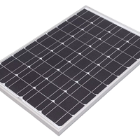 Risen Energy 450 W Mono PV Module UE Stock 217 Efficacité TUV CE Certifié En Gros Panneaux Solaires