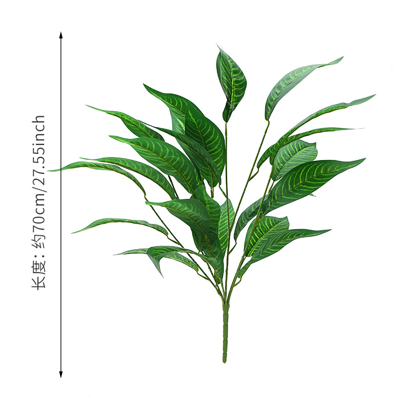 ใบม้าลายเขียว