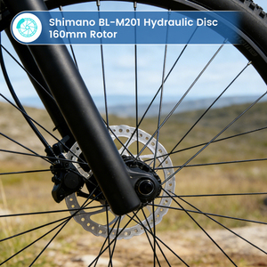 Bicicleta de Montaña <span class=keywords><strong>XC</strong></span> de Aluminio de 29 Pulgadas, 12 Velocidades, Frenos de Disco Hidráulicos, MTB OEM - Product Image 6