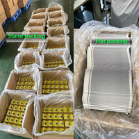 Boîtes en Carton à Toit en Pignon pour Emballage Personnalisé de Papier Aseptique pour Jus Liquide et Lait