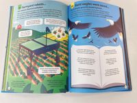 OEM personalizado color libro impresión niños libros con tapa dura Encuadernación perfecta PAPEL DE ARTE