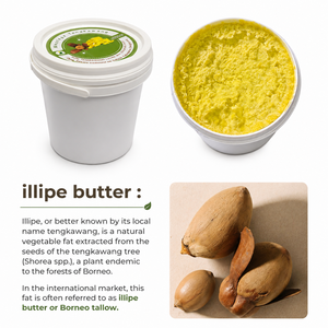 Mantequilla de Shorea Illipe Pura 100% Natural para Formulación Cosmética, Base de Jabón, Cuidado Corporal, Exportación - Product Image 2