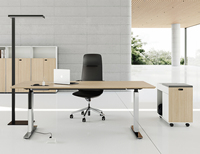 Escritorio Ejecutivo de Lujo con Patas de Aluminio, Altura Ajustable Eléctricamente, Mesa de Oficina Individual para Trabajar Sentado o De Pie, Venta al Por Mayor Comercial