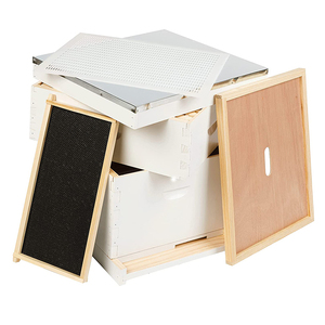 Ruche Langstroth assemblée et peinte à 10 cadres, kit complet avec cadres en bois et fondation en cire d'abeille pré-imprégnée - Product Image 1