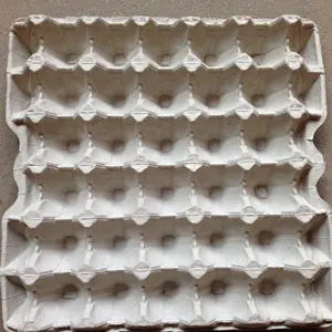 High Precision Egg Tray Molding Mould Manufacturers Install Egg Tray Forming Machine