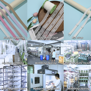 6049-13customized nhà sản xuất bán sỉ Double Sided sáng ánh sáng vành đai đàn hồi cho áo ngực của phụ nữ - Product Image 4