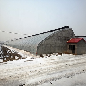 <span class=keywords><strong>Serre</strong></span> en film plastique solaire passif FM pour l'hiver, système de plantation verticale de fraises avec mur arrière en terre - Product Image 2