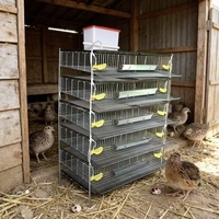 Cage à batterie commerciale pour cailles de type H à 5 niveaux, capacité 250-280 oiseaux, cage d'élevage en acier pour cailles