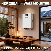 Baterai Lithium Ion 14kWh 48V 300Ah untuk Sistem Surya All in One yang Dipasang di Dinding dengan Roda