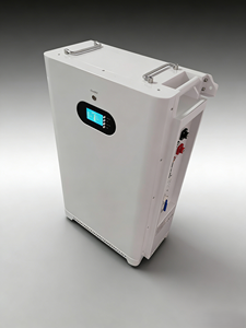 16.4kWh 51.2V <b>Wall</b>-Mounted Home Energy Storage System LiFePO4 Battery 10-20Kw Output Hybrid/Off <b>Grid</b> Solar Compatible BMS 6000 - Product Image 3