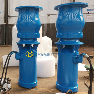 ปั๊มจุ่มแบบไหลผสม 300 ลูกบาศก์เมตรต่อชั่วโมง คุณภาพสูง - Product Image 2