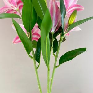 Flores de Lirio Artificiales Chenxi, Impresión 3D, Decoraciones para Bodas, Hogar, Hotel, Accesorios de Fotografía, Venta al Por Mayor - Product Image 3