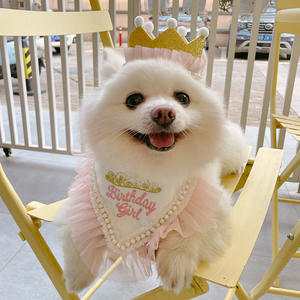 Cães Aniversário Chapéus Bandana Set Atacado Pet Party <span class=keywords><strong>Hat</strong></span> Chapéu Bonito Rainha Ouro Chapéus com Bandanas Rosa para Pequenos Animais de Estimação - Product Image 6