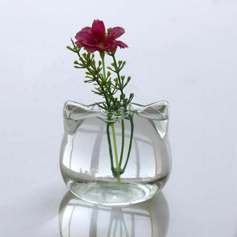 MMIAOO Vaso Idroponico in Vetro - Mini Terrario da Tavolo per Piante, Decorativo per Casa e Ufficio, Ideale per Coltivazione Idroponica