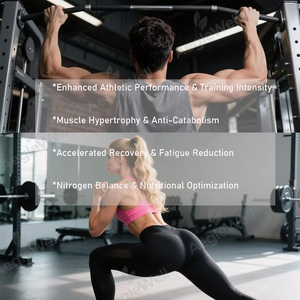 Oli vendita calda aminoacidi Sport creatina in polvere Pre allenamento micronizzata creatina monoidrati in polvere - Product Image 4