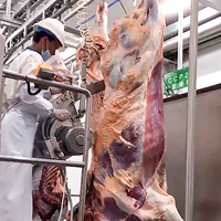 Projet clé en main d'abattoir industriel à grande échelle pour bovins, équipement de système de convoyeur automatique pour l'abattage