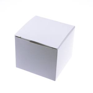 Filtre à membrane quadrillé 47mm 0.45um MCE Rayonnement gamma stérile - Product Image 5