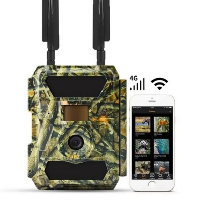 Willfine Cellular Wildlife Jeu de chasse Caméra sauvage Wildcamera Piège photo Wildkamera 4g Trail Cam Trailcam