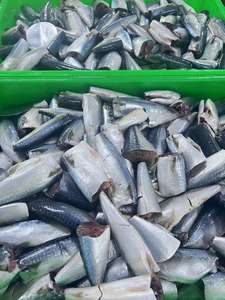 Produits <span class=keywords><strong>de</strong></span> <span class=keywords><strong>mer</strong></span> en conserve <span class=keywords><strong>de</strong></span> qualité supérieure, sardine/maquereau en conserve à la sauce tomate à vendre au meilleur prix - Product Image 4