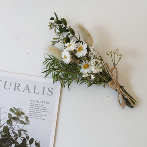 Mini <span class=keywords><strong>bouquet</strong></span> de <span class=keywords><strong>fleurs</strong></span> <span class=keywords><strong>séchées</strong></span> en paille de blé, <span class=keywords><strong>bouquet</strong></span> de <span class=keywords><strong>fleurs</strong></span> <span class=keywords><strong>séchées</strong></span> naturelles préservées pour la décoration de la maison, cadeau de mariage, bricolage - Product Image 5