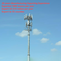 Mât télécom professionnel en acier galvanisé conique de 30 m, gain de place, pour déploiement sur toits urbains