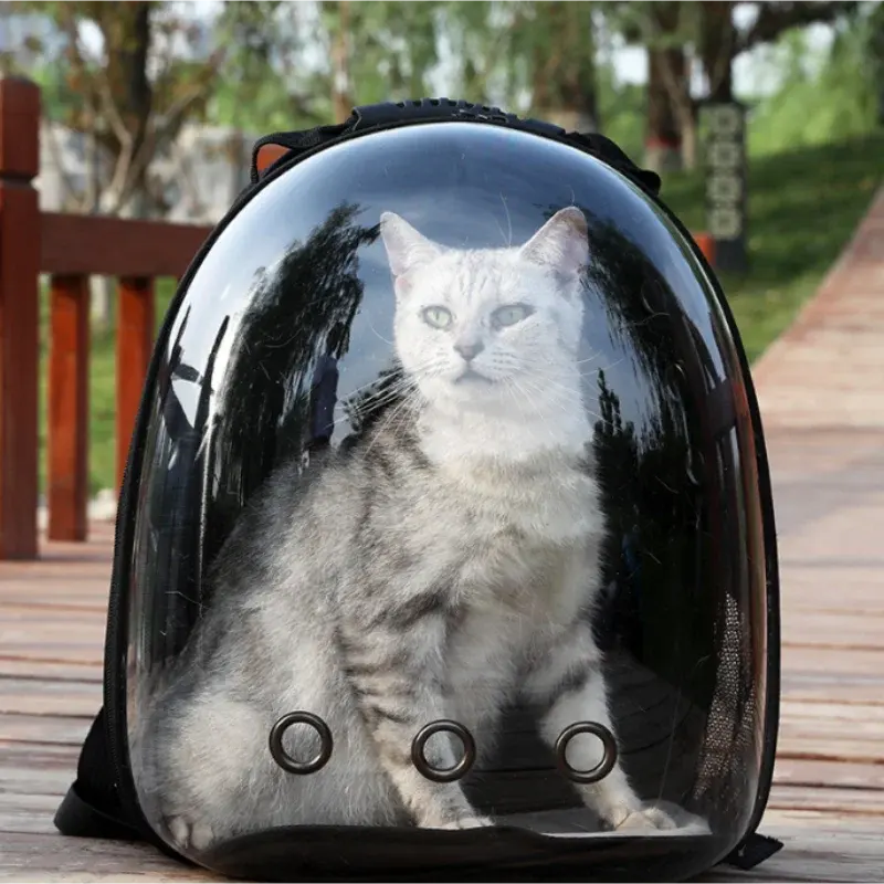 Out tas punggung kucing portabel, ransel pembawa hewan peliharaan kapsul angkasa transparan bernapas untuk anjing kecil