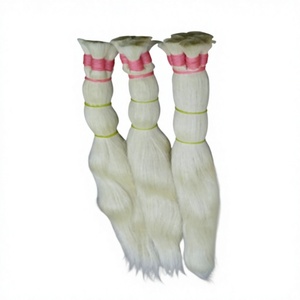 Extensions de cheveux indiennes 100% vierges colorées en vrac, tissage épais avec pointes pleines, 100g - Product Image 1