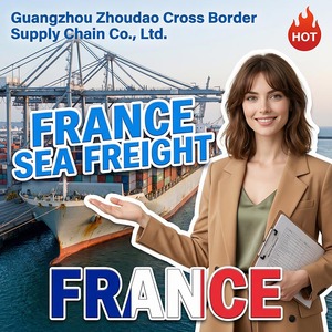 Agent de transport maritime dédié à la chaîne d'approvisionnement FBA de la Chine vers la France, livraison DDP en 28-35 jours depuis Zhoudao <span class=keywords><strong>Pro</strong></span> - Product Image 1