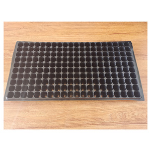 High quality plastic 200 plant germination seedling tray with holes for hydroponics growing