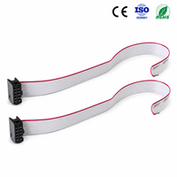 Cable Plano IDC FFC de 10 Pines a 16 Pines Hembra, 25 cm, Aislamiento de PVC/Nylon/PBT/Goma, IP66, Cobre Estañado para Electrodomésticos