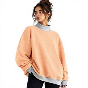 เสื้อสเวตเชิ้ตทรงหลวมสไตล์สตรีทแวร์ทันสมัย คอเต่า สีพื้น ปักลาย โอเวอร์ไซส์ - Product Image 1
