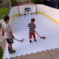 Plaques de glace synthétique UHMWPE de haute qualité ZSPE, panneaux de glace artificielle HDPE, dalles de glace synthétique, patinoires