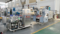 Automatische productielijn voor fruitgummi snoepjes, machine voor het maken van jelly bears en zachte snoepjes, PLC-gestuurd