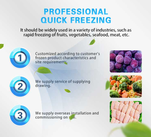 Congélateur rapide fluidisé TCA 100-3000 kg/h Uniforme <span class=keywords><strong>de</strong></span> congélation unique Aliments surgelés Pois surgelés Frites Pépites <span class=keywords><strong>de</strong></span> poulet - Product Image 5